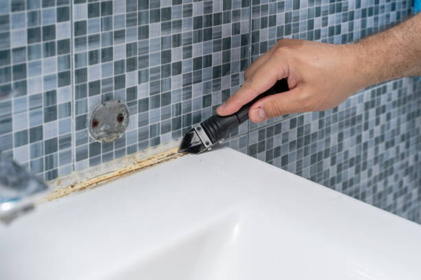 Trusted Jensen Beach, FL Mold Remediation Experts